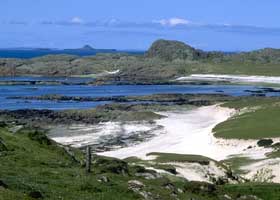 Machair on Iona